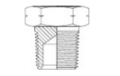 F34 NPT Plug
