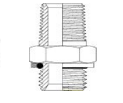 Perfect Circle - SA1022 BSPP Male – BSPT Male Stainless Steel